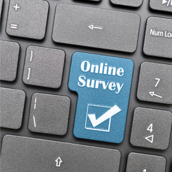 Online Survey for Newbiggin by the Sea